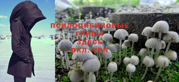 амф Балахна