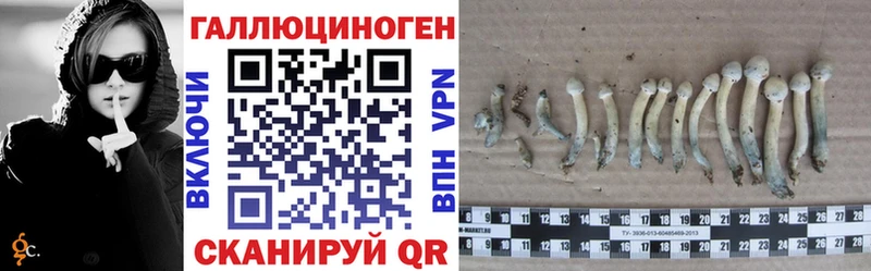 сколько стоит  Константиновск  Галлюциногенные грибы Psilocybine cubensis 
